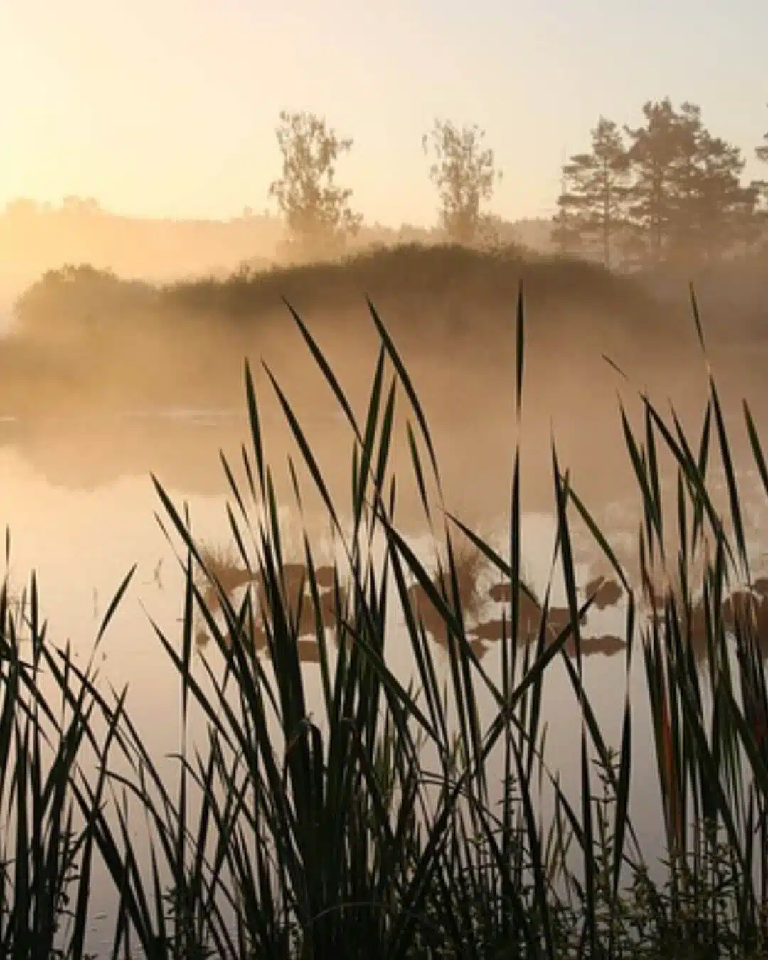 Mirko Haase - Spirituelle Wegbegleitung