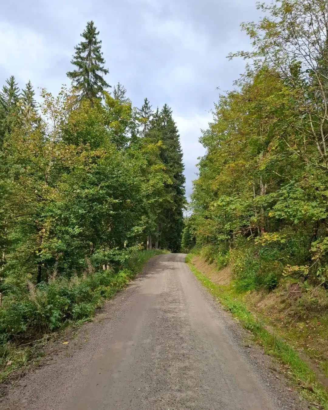 1 zu 1 Begleitung Mirko Haase