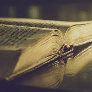 Akasha Chronik Reading (3-er Paket)