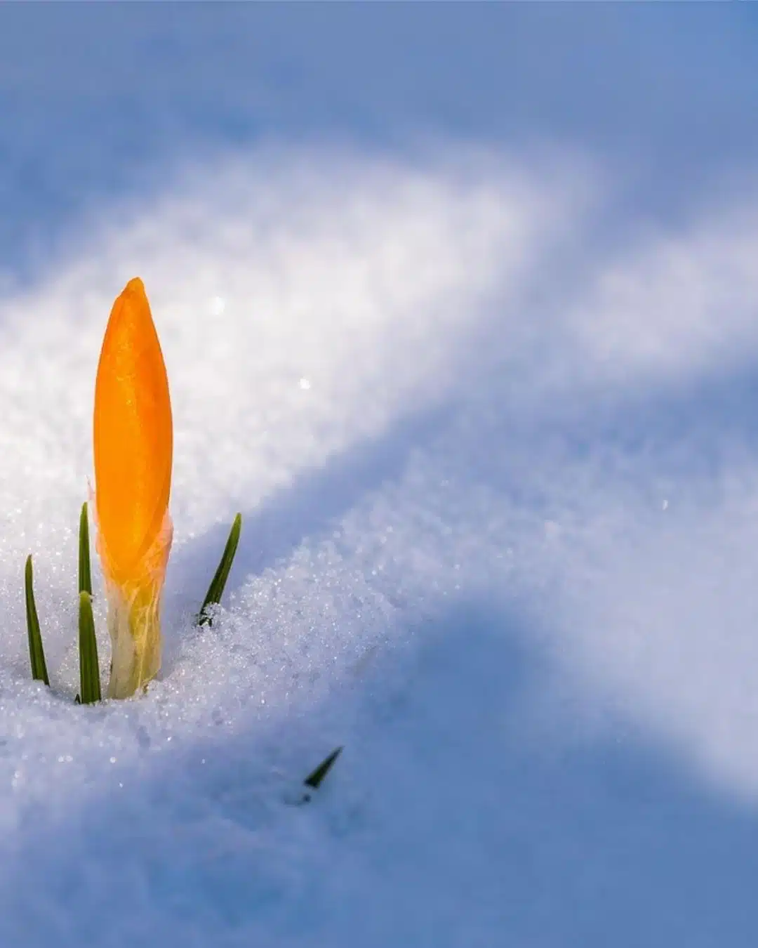 Mirko Haase - Spirituelle Wegbegleitung