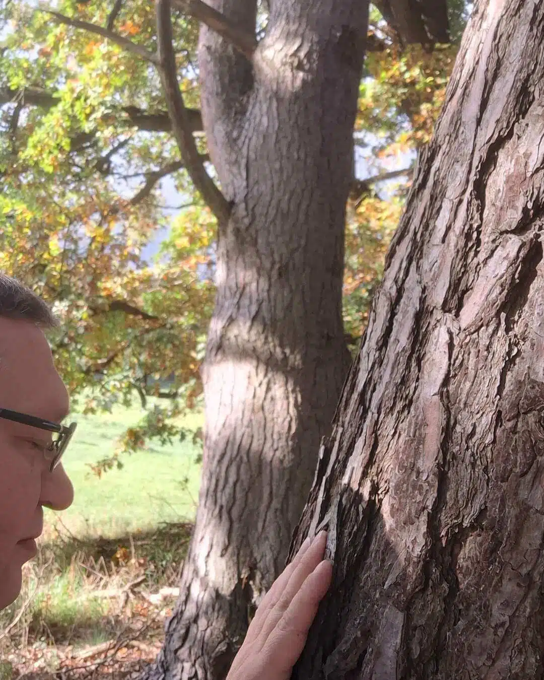 Mirko Haase - Spirituelle Wegbegleitung